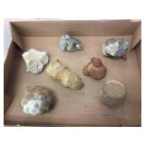 Group Fossil Specimens