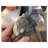 Group Fossil Specimens