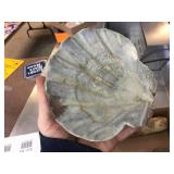 Group Fossils - Shells