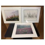Jay Steinke Photography Prints: Fireweed, Winter Visit, Lupine Meadow.