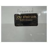 Jay Steinke Photography Prints: Fireweed, Winter Visit, Lupine Meadow.