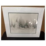 Jay Steinke Photography Prints: Fireweed, Winter Visit, Lupine Meadow.