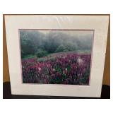 Jay Steinke Photography Prints: Fireweed, Winter Visit, Lupine Meadow.