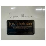 Jay Steinke Photography Prints: Fireweed, Winter Visit, Lupine Meadow.