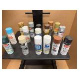 Sixteen Cans of Spray Paint