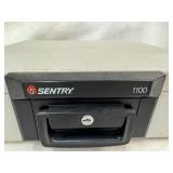 Sentry Fire Safe (Key not present)