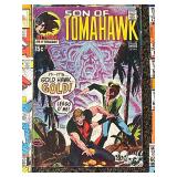 Marvel and DC Comic Book Collection - 80 Books