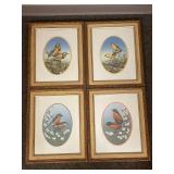 Set of 4 Signed Sam Timm Framed Bird Prints