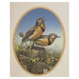 Set of 4 Signed Sam Timm Framed Bird Prints