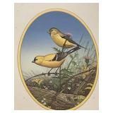 Set of 4 Signed Sam Timm Framed Bird Prints