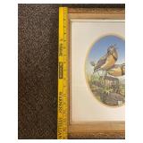 Set of 4 Signed Sam Timm Framed Bird Prints