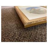 Set of 4 Signed Sam Timm Framed Bird Prints