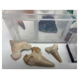 Excellent Estate Lot of Larger Size Exotic Stones, Minerals Fossils & More #3