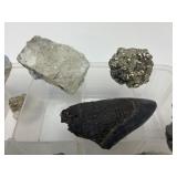 Excellent Estate Lot of Larger Size Exotic Stones, Minerals Fossils & More #3