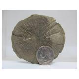 Excellent Estate Lot of Larger Size Exotic Stones, Minerals Fossils & More #4