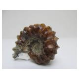 Excellent Estate Lot of Larger Size Exotic Stones, Minerals Fossils & More #1