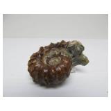 Excellent Estate Lot of Larger Size Exotic Stones, Minerals Fossils & More #1