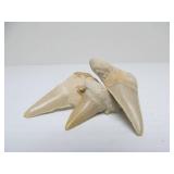 Excellent Estate Lot of Larger Size Exotic Stones, Minerals Fossils & More #3