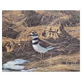 Framed Signed Numbered ROBERT BATEMAN Wildlife Print - "Spring Thaw - Killdeer"