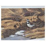 Framed Signed Numbered ROBERT BATEMAN Wildlife Print - "Spring Thaw - Killdeer"