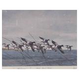 Framed Signed Numbered LES KOUBA Wildlife Print - "Mark, 10 O