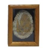 Genuine Framed Metacanthina Trilobite Fossil
