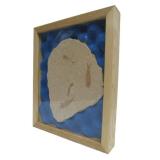 Genuine Framed Fish Fossil - "Knightia"