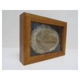 Genuine Framed Metacanthina Trilobite Fossil