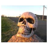 HUGE Electronic Display Skull