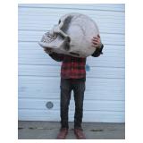 HUGE Electronic Display Skull