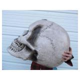 HUGE Electronic Display Skull
