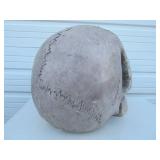 HUGE Electronic Display Skull