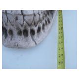 HUGE Electronic Display Skull