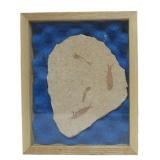 Genuine Framed Fish Fossil - "Knightia"