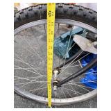 Sorrento Diamond Back Men