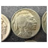 20 Buffalo Nickels