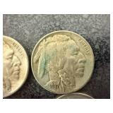 20 Buffalo Nickels