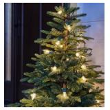 NEW 2 Pack of Holiday Living 25-Count 24-ft White Incandescent Plug-In Christmas String Lights