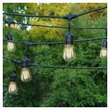 NEW Living Accents LED Edison Vintage Light Set Warm White 18 ft 10 lights