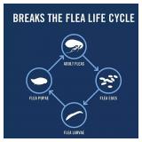 NEW PetArmor Plus Flea & Tick Protection for Cats, 8-Month Supply