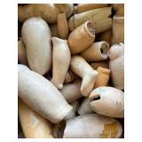 Collection of Vintage Composite Doll Arms and Legs