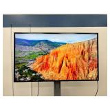 Samsung 55" Commercial LED TV / MSRP: $3000