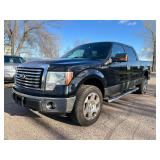 2010 FORD F-150 XLT 4x4 *No Accidents*