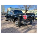 2010 FORD F-150 XLT 4x4 *No Accidents*