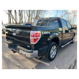 2010 FORD F-150 XLT 4x4 *No Accidents*