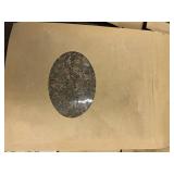 Set of 6 Tamed Wild Ancient Herbs Poultice Blend - 5 oz