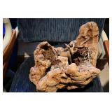 petrified wood display...