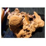 petrified wood display...