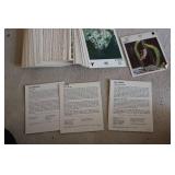 Animal identification cards with de...