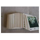 Animal identification cards with de...